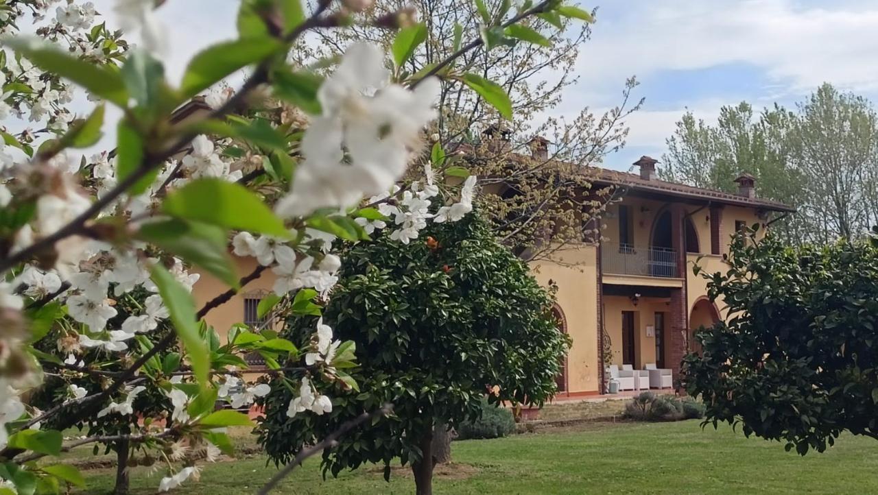 Il Chiassetto Agriturismo No Kids Кашіна Екстер'єр фото