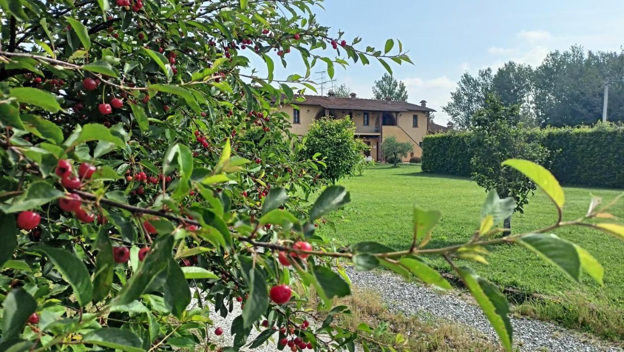 Il Chiassetto Agriturismo No Kids Кашіна Екстер'єр фото