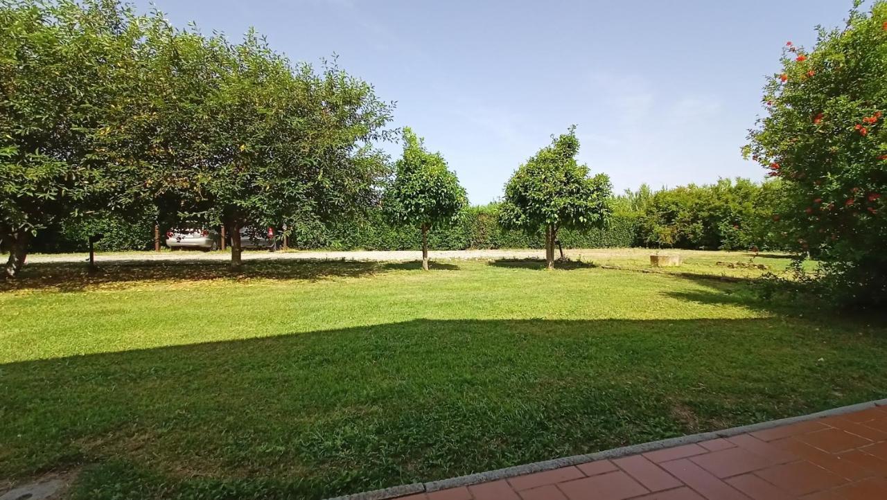 Il Chiassetto Agriturismo No Kids Кашіна Екстер'єр фото